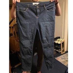 Blue Jean Jeggings. Size 18